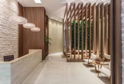 VERTICALIDADE POR NINHA CHIOZZINI